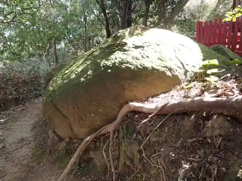 大嶽神社（志賀海神社摂社）の自然