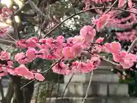 北野天満宮(京都府)