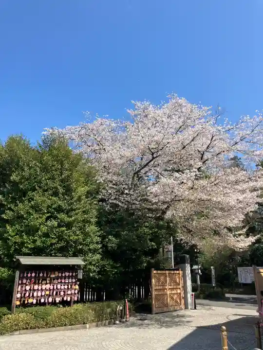 櫻木神社(千葉県)