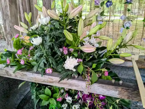 彌彦神社　(伊夜日子神社)の手水舎