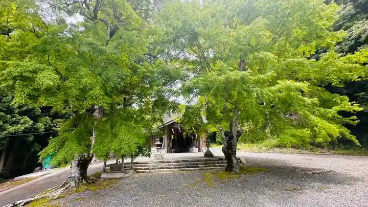 春日神社(京都府)