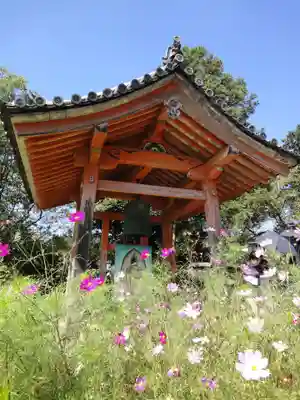 般若寺 ❁﻿コスモス寺❁のその他建物