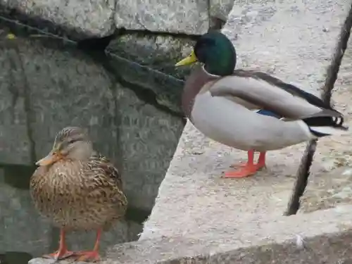 神泉苑(京都府)