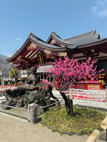 素盞雄神社(東京都)