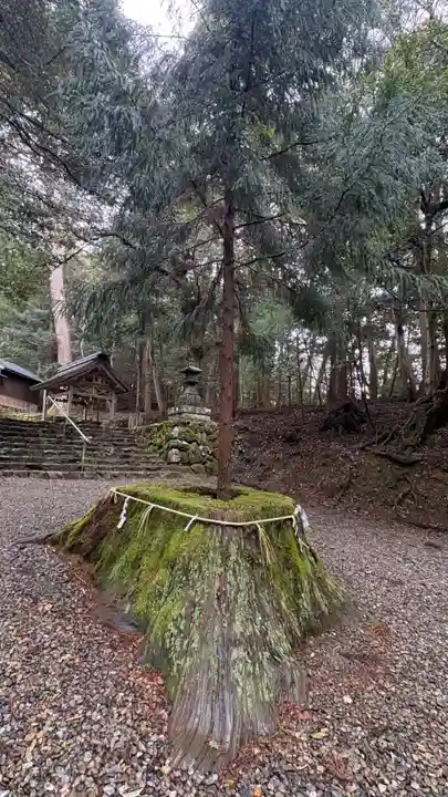 元伊勢内宮 皇大神社(京都府)