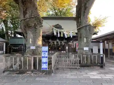 熊野宮の本殿・本堂