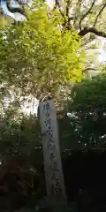 新熊野神社の自然