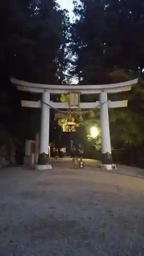 宝登山神社の鳥居