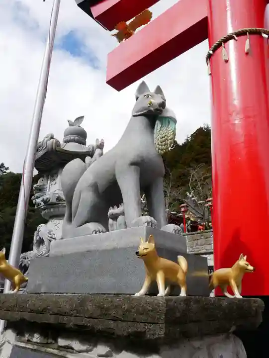 箱根天聖稲荷大権現神社の狛犬