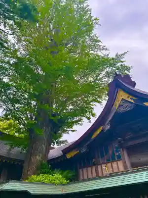 麻賀多神社(千葉県)