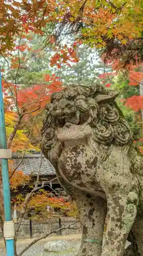 鍬山神社の狛犬