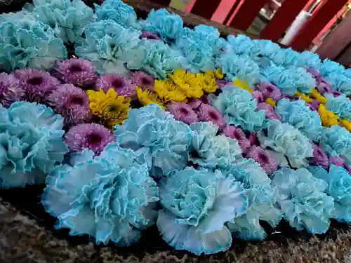 白山神社(新潟県)