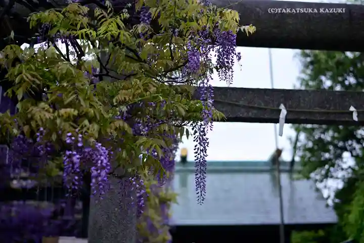國領神社の庭園