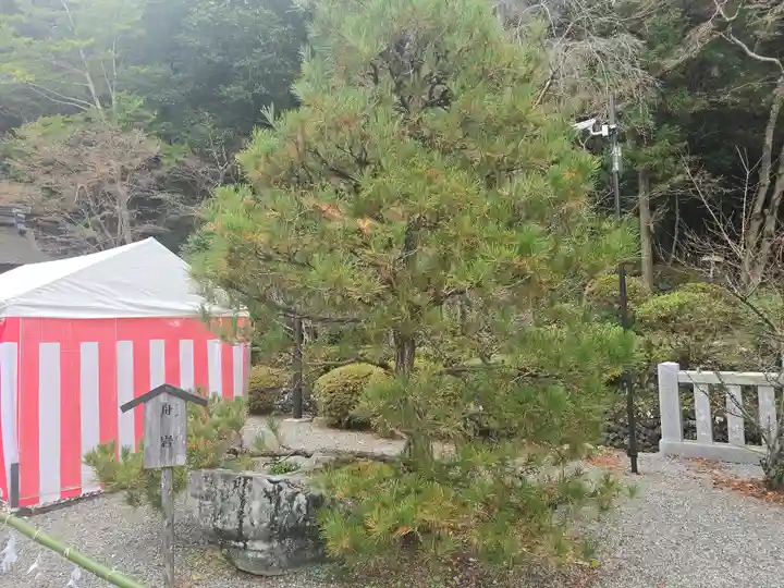 出雲大神宮(京都府)