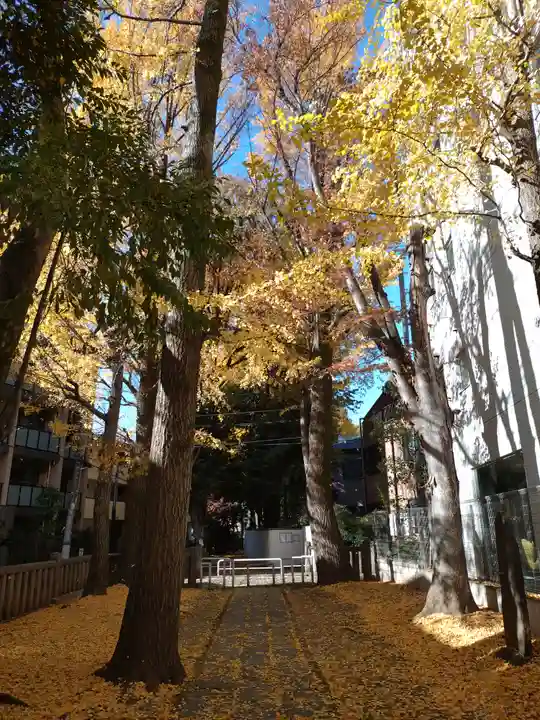 荻窪白山神社(東京都)
