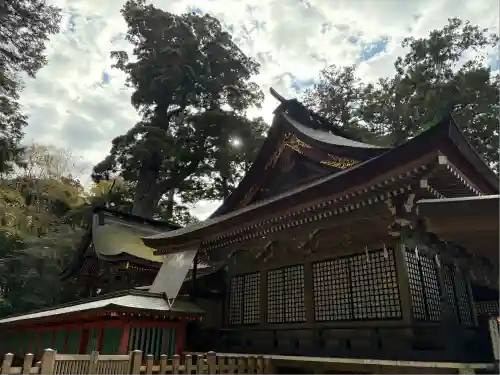 鹿島神宮(茨城県)