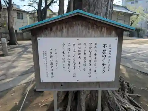 千住神社の{uncategorized: "未分類", other: "その他", undefined: "問題あり", building: "その他建物", grave: "お墓", sacred_gate: "鳥居", guardian: "狛犬", statue: "像", buddha: "仏像", history: "歴史", nature: "自然", garden: "庭園", animal: "動物", pagoda: "塔", temizu: "手水舎", mountain_gate: "山門・神門", sanctuary: "本殿・本堂", subordinate: "末社・摂社", art: "芸術", scenery: "景色", jizo: "地蔵", ema: "絵馬", goshuin: "御朱印", omikuji: "おみくじ", items: "授与品その他", amulet: "お守り", goshuincho: "御朱印帳", eats: "食事", festival: "お祭り", votive_dance: "神楽", shichigosan: "七五三参", wedding: "結婚式", experience: "体験その他", initially: "初詣", around: "周辺", anti_infection: "感染症対策"}