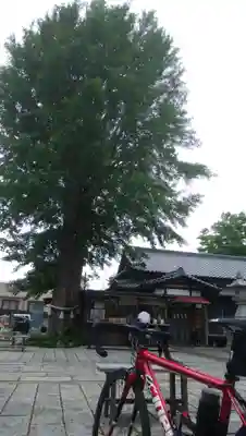 菊田神社(千葉県)