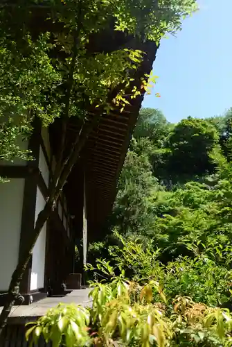 如意庵(神奈川県)