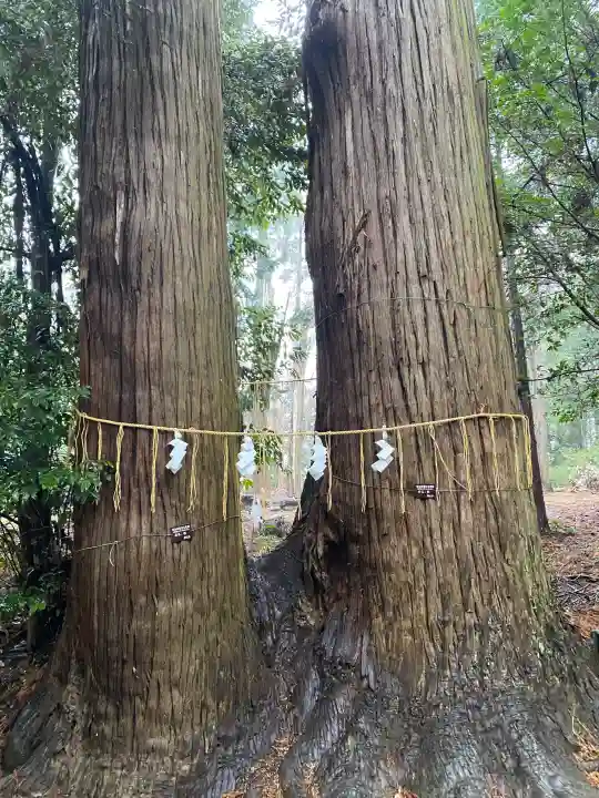 日吉神社の{uncategorized: "未分類", other: "その他", undefined: "問題あり", building: "その他建物", grave: "お墓", sacred_gate: "鳥居", guardian: "狛犬", statue: "像", buddha: "仏像", history: "歴史", nature: "自然", garden: "庭園", animal: "動物", pagoda: "塔", temizu: "手水舎", mountain_gate: "山門・神門", sanctuary: "本殿・本堂", subordinate: "末社・摂社", art: "芸術", scenery: "景色", jizo: "地蔵", ema: "絵馬", goshuin: "御朱印", omikuji: "おみくじ", items: "授与品その他", amulet: "お守り", goshuincho: "御朱印帳", eats: "食事", festival: "お祭り", votive_dance: "神楽", shichigosan: "七五三参", wedding: "結婚式", experience: "体験その他", initially: "初詣", around: "周辺", anti_infection: "感染症対策"}