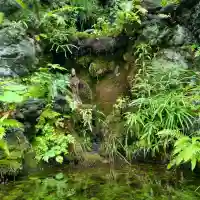 観音山慈眼院(高崎観音)(群馬県)