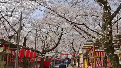 平野神社のその他建物