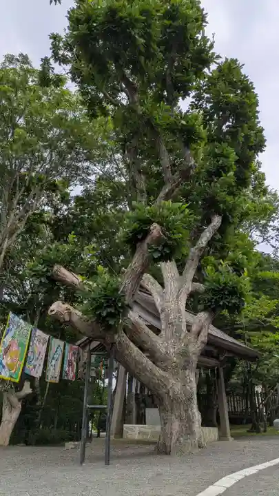 根室金刀比羅神社(北海道)