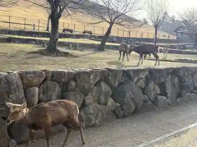 手向山八幡宮(奈良県)