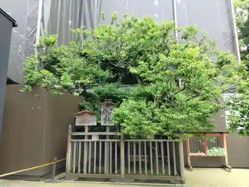 太宰府天満宮の自然