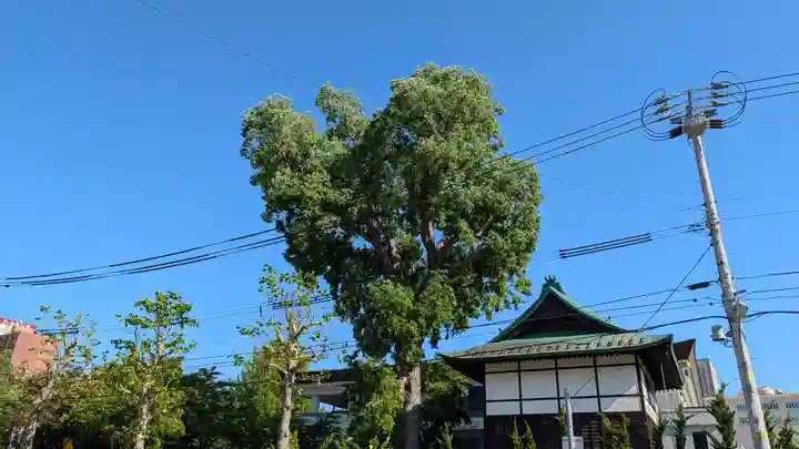 真宗大谷派札幌別院(北海道)