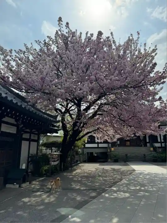 感通寺(東京都)