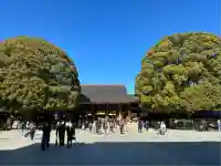 明治神宮(東京都)