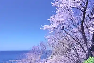 蓮光院(新潟県)