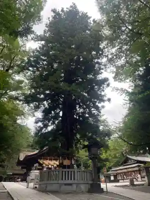 諏訪大社下社秋宮(長野県)