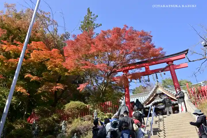 高尾山薬王院の鳥居