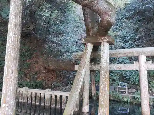 鹿島神宮(茨城県)