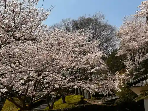 瀧光徳寺の{uncategorized: "未分類", other: "その他", undefined: "問題あり", building: "その他建物", grave: "お墓", sacred_gate: "鳥居", guardian: "狛犬", statue: "像", buddha: "仏像", history: "歴史", nature: "自然", garden: "庭園", animal: "動物", pagoda: "塔", temizu: "手水舎", mountain_gate: "山門・神門", sanctuary: "本殿・本堂", subordinate: "末社・摂社", art: "芸術", scenery: "景色", jizo: "地蔵", ema: "絵馬", goshuin: "御朱印", omikuji: "おみくじ", items: "授与品その他", amulet: "お守り", goshuincho: "御朱印帳", eats: "食事", festival: "お祭り", votive_dance: "神楽", shichigosan: "七五三参", wedding: "結婚式", experience: "体験その他", initially: "初詣", around: "周辺", anti_infection: "感染症対策"}