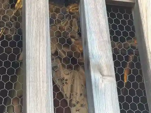 善光寺(長野県)