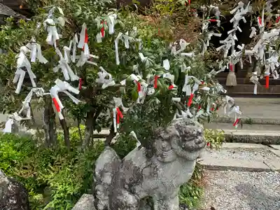 賀蘇山神社の狛犬