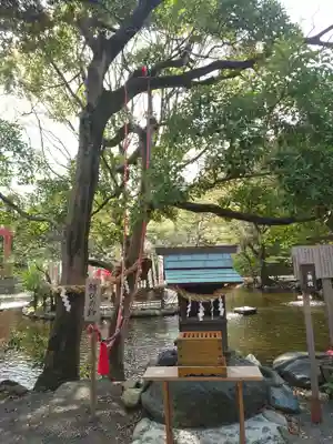 平塚八幡宮(神奈川県)