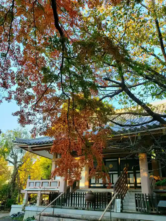 宝福寺の本殿・本堂