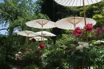 長谷寺(奈良県)