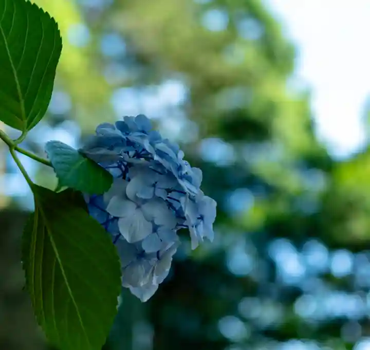 雄山神社前立社壇(富山県)