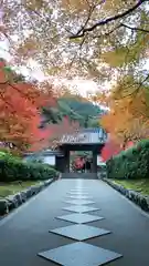 高徳庵　(最勝院）の山門