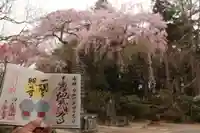 上合寺の御朱印