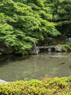 蓮華寺（洛北蓮華寺）(京都府)