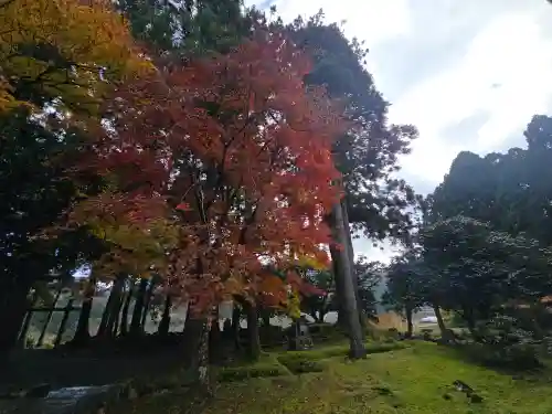 興聖寺(滋賀県)