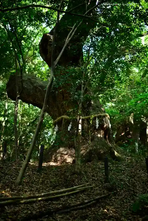 熱田神宮(愛知県)