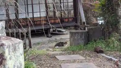 琴平神社(高知県)