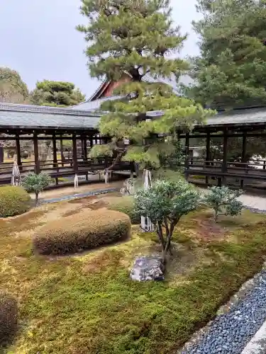 大覚寺の{uncategorized: "未分類", other: "その他", undefined: "問題あり", building: "その他建物", grave: "お墓", sacred_gate: "鳥居", guardian: "狛犬", statue: "像", buddha: "仏像", history: "歴史", nature: "自然", garden: "庭園", animal: "動物", pagoda: "塔", temizu: "手水舎", mountain_gate: "山門・神門", sanctuary: "本殿・本堂", subordinate: "末社・摂社", art: "芸術", scenery: "景色", jizo: "地蔵", ema: "絵馬", goshuin: "御朱印", omikuji: "おみくじ", items: "授与品その他", amulet: "お守り", goshuincho: "御朱印帳", eats: "食事", festival: "お祭り", votive_dance: "神楽", shichigosan: "七五三参", wedding: "結婚式", experience: "体験その他", initially: "初詣", around: "周辺", anti_infection: "感染症対策"}
